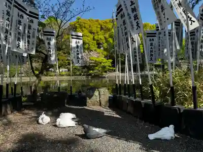 白旗神社の{uncategorized: "未分類", other: "その他", undefined: "問題あり", building: "その他建物", grave: "お墓", sacred_gate: "鳥居", guardian: "狛犬", statue: "像", buddha: "仏像", history: "歴史", nature: "自然", garden: "庭園", animal: "動物", pagoda: "塔", temizu: "手水舎", mountain_gate: "山門・神門", sanctuary: "本殿・本堂", subordinate: "末社・摂社", art: "芸術", scenery: "景色", jizo: "地蔵", ema: "絵馬", goshuin: "御朱印", omikuji: "おみくじ", items: "授与品その他", amulet: "お守り", goshuincho: "御朱印帳", eats: "食事", festival: "お祭り", votive_dance: "神楽", shichigosan: "七五三参", wedding: "結婚式", experience: "体験その他", initially: "初詣", around: "周辺", anti_infection: "感染症対策"}