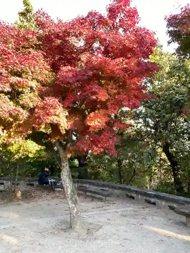 高尾山薬王院の自然