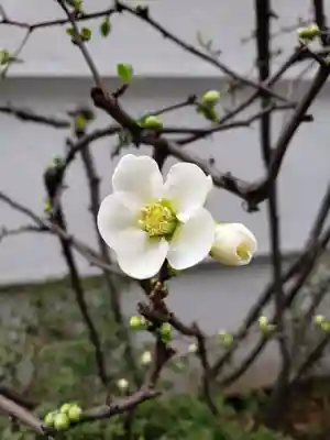 一乗寺(東京都)