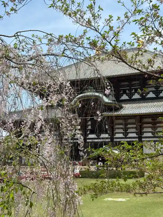 東大寺の{uncategorized: "未分類", other: "その他", undefined: "問題あり", building: "その他建物", grave: "お墓", sacred_gate: "鳥居", guardian: "狛犬", statue: "像", buddha: "仏像", history: "歴史", nature: "自然", garden: "庭園", animal: "動物", pagoda: "塔", temizu: "手水舎", mountain_gate: "山門・神門", sanctuary: "本殿・本堂", subordinate: "末社・摂社", art: "芸術", scenery: "景色", jizo: "地蔵", ema: "絵馬", goshuin: "御朱印", omikuji: "おみくじ", items: "授与品その他", amulet: "お守り", goshuincho: "御朱印帳", eats: "食事", festival: "お祭り", votive_dance: "神楽", shichigosan: "七五三参", wedding: "結婚式", experience: "体験その他", initially: "初詣", around: "周辺", anti_infection: "感染症対策"}