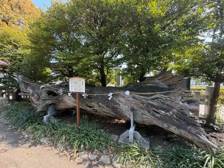 瀬戸神社の{uncategorized: "未分類", other: "その他", undefined: "問題あり", building: "その他建物", grave: "お墓", sacred_gate: "鳥居", guardian: "狛犬", statue: "像", buddha: "仏像", history: "歴史", nature: "自然", garden: "庭園", animal: "動物", pagoda: "塔", temizu: "手水舎", mountain_gate: "山門・神門", sanctuary: "本殿・本堂", subordinate: "末社・摂社", art: "芸術", scenery: "景色", jizo: "地蔵", ema: "絵馬", goshuin: "御朱印", omikuji: "おみくじ", items: "授与品その他", amulet: "お守り", goshuincho: "御朱印帳", eats: "食事", festival: "お祭り", votive_dance: "神楽", shichigosan: "七五三参", wedding: "結婚式", experience: "体験その他", initially: "初詣", around: "周辺", anti_infection: "感染症対策"}