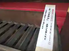 大星神社(長野県)