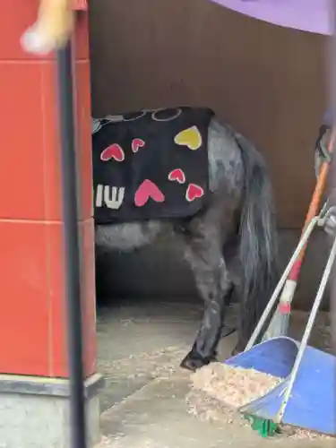 神田神社（神田明神）の動物