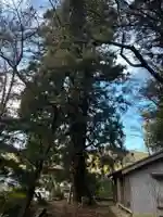 平等寺奥の院 月夜御水大師(徳島県)