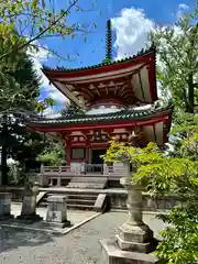 知恩院(京都府)