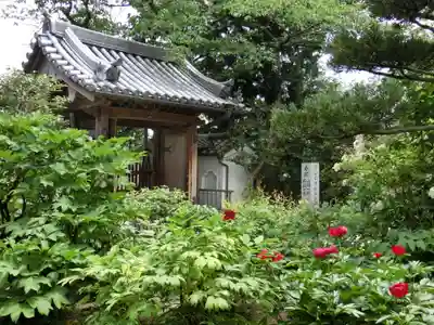 石光寺の山門・神門