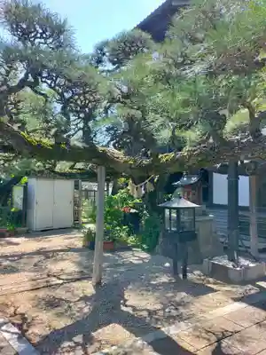 妙典寺(三重県)