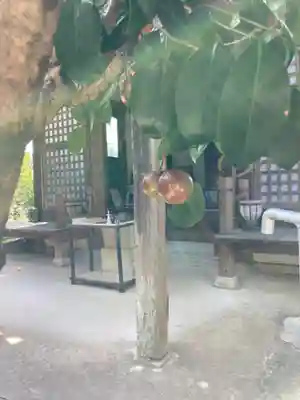 羅漢寺(兵庫県)