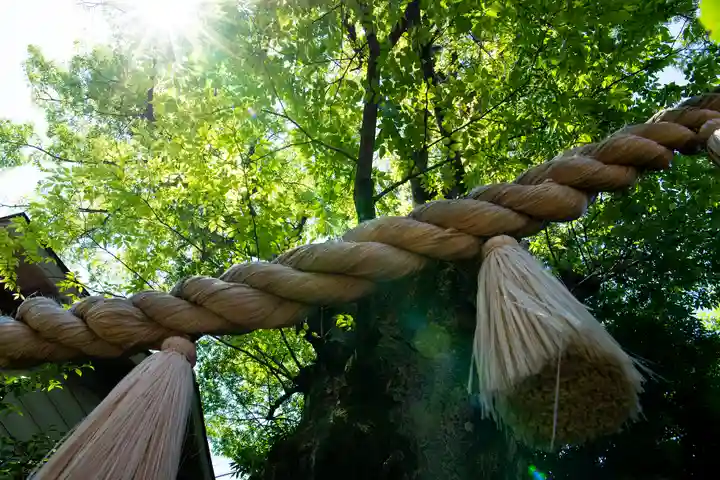 溝口神社(神奈川県)