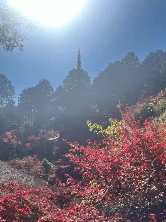 常樂寺(滋賀県)