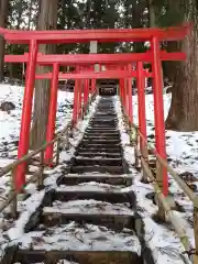 赤堂稲荷大明神 の鳥居