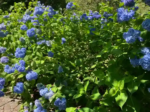 有珠善光寺(北海道)