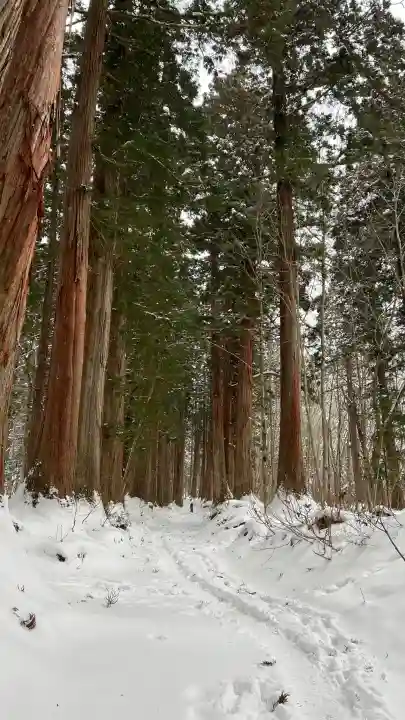 戸隠神社奥社の{uncategorized: "未分類", other: "その他", undefined: "問題あり", building: "その他建物", grave: "お墓", sacred_gate: "鳥居", guardian: "狛犬", statue: "像", buddha: "仏像", history: "歴史", nature: "自然", garden: "庭園", animal: "動物", pagoda: "塔", temizu: "手水舎", mountain_gate: "山門・神門", sanctuary: "本殿・本堂", subordinate: "末社・摂社", art: "芸術", scenery: "景色", jizo: "地蔵", ema: "絵馬", goshuin: "御朱印", omikuji: "おみくじ", items: "授与品その他", amulet: "お守り", goshuincho: "御朱印帳", eats: "食事", festival: "お祭り", votive_dance: "神楽", shichigosan: "七五三参", wedding: "結婚式", experience: "体験その他", initially: "初詣", around: "周辺", anti_infection: "感染症対策"}