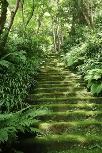 妙法寺(神奈川県)