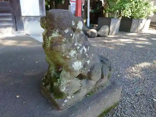 前川神社の狛犬