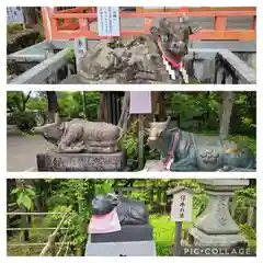 長岡天満宮の狛犬