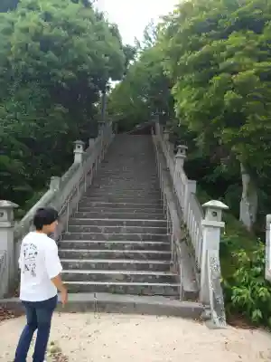 長尾八幡宮の{uncategorized: "未分類", other: "その他", undefined: "問題あり", building: "その他建物", grave: "お墓", sacred_gate: "鳥居", guardian: "狛犬", statue: "像", buddha: "仏像", history: "歴史", nature: "自然", garden: "庭園", animal: "動物", pagoda: "塔", temizu: "手水舎", mountain_gate: "山門・神門", sanctuary: "本殿・本堂", subordinate: "末社・摂社", art: "芸術", scenery: "景色", jizo: "地蔵", ema: "絵馬", goshuin: "御朱印", omikuji: "おみくじ", items: "授与品その他", amulet: "お守り", goshuincho: "御朱印帳", eats: "食事", festival: "お祭り", votive_dance: "神楽", shichigosan: "七五三参", wedding: "結婚式", experience: "体験その他", initially: "初詣", around: "周辺", anti_infection: "感染症対策"}