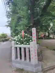 子安神社(神奈川県)