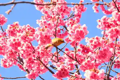 荏原神社(東京都)