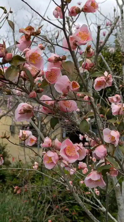惠心院(京都府)