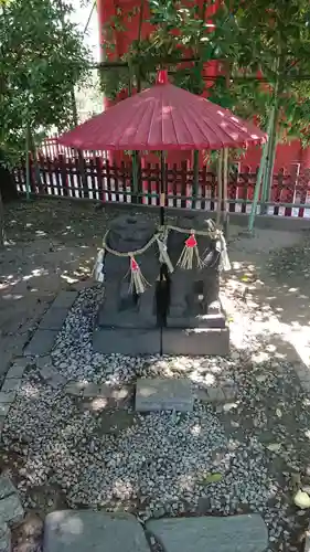 浅草神社の狛犬