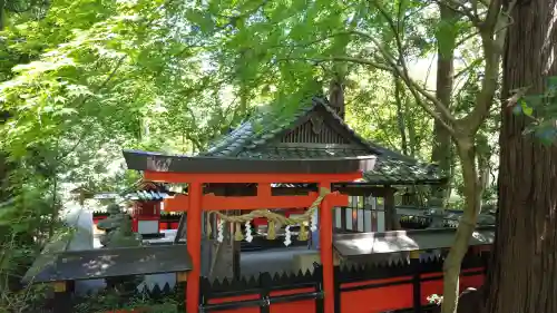 天満神社の鳥居