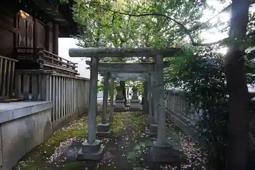 國領神社の鳥居