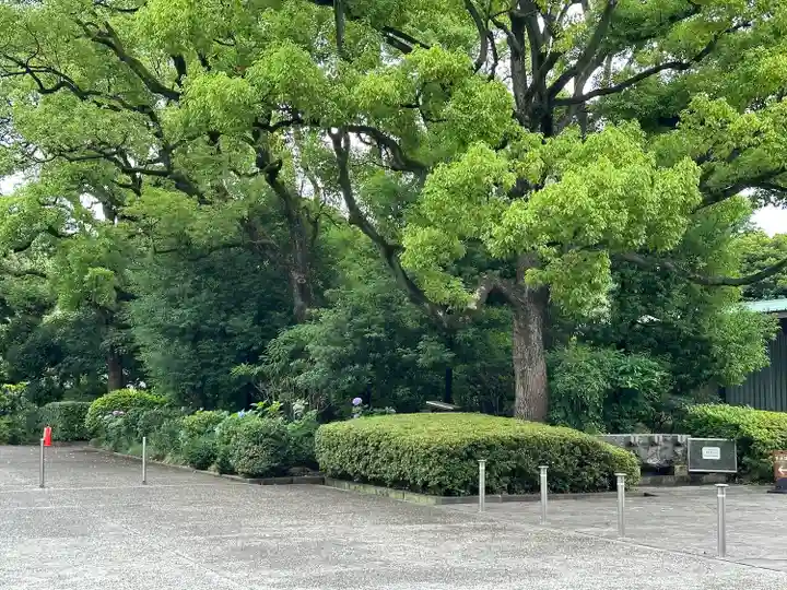千鳥ヶ淵戦没者墓苑(東京都)