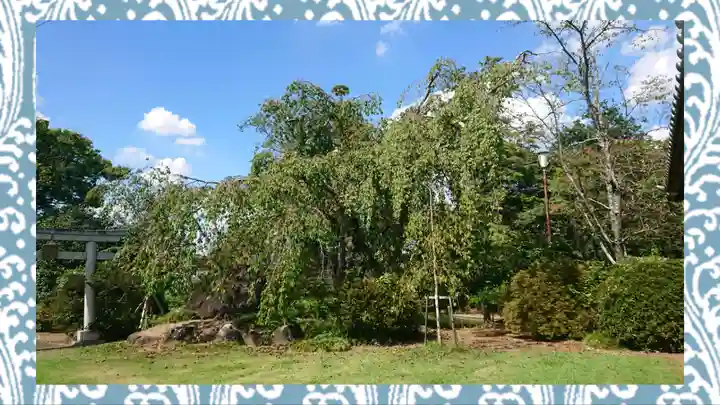 境香取神社(茨城県)