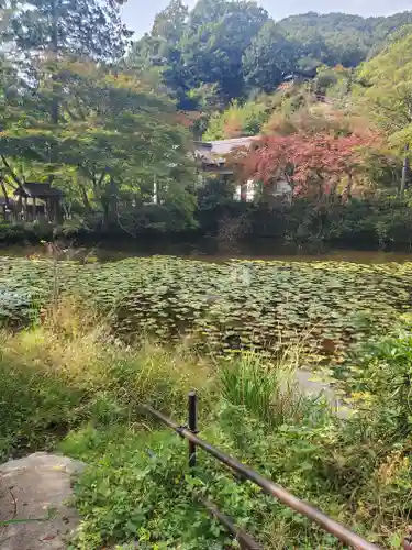 本経寺の庭園