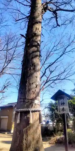 氷川神社(東京都)