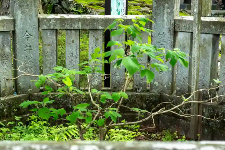 諏訪大社上社前宮(長野県)