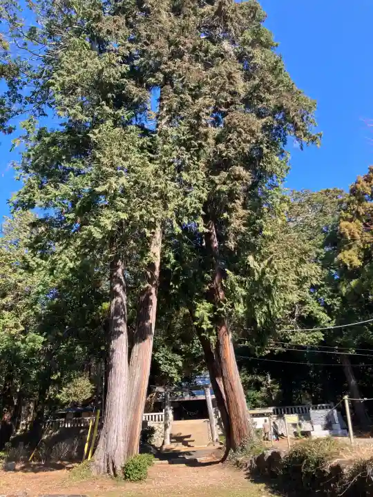 雨引千勝神社の{uncategorized: "未分類", other: "その他", undefined: "問題あり", building: "その他建物", grave: "お墓", sacred_gate: "鳥居", guardian: "狛犬", statue: "像", buddha: "仏像", history: "歴史", nature: "自然", garden: "庭園", animal: "動物", pagoda: "塔", temizu: "手水舎", mountain_gate: "山門・神門", sanctuary: "本殿・本堂", subordinate: "末社・摂社", art: "芸術", scenery: "景色", jizo: "地蔵", ema: "絵馬", goshuin: "御朱印", omikuji: "おみくじ", items: "授与品その他", amulet: "お守り", goshuincho: "御朱印帳", eats: "食事", festival: "お祭り", votive_dance: "神楽", shichigosan: "七五三参", wedding: "結婚式", experience: "体験その他", initially: "初詣", around: "周辺", anti_infection: "感染症対策"}