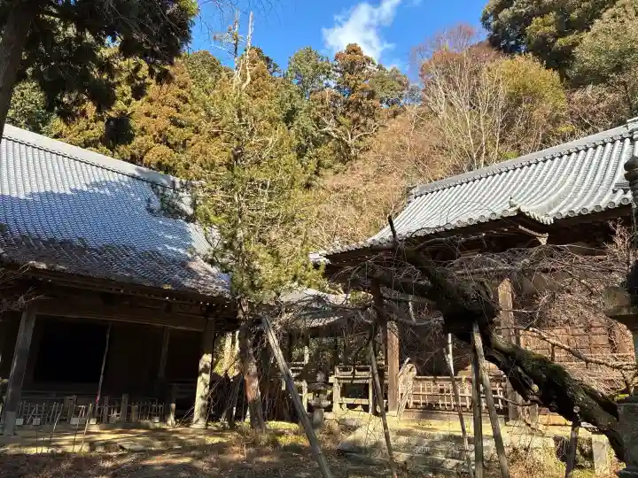 高貴寺の{uncategorized: "未分類", other: "その他", undefined: "問題あり", building: "その他建物", grave: "お墓", sacred_gate: "鳥居", guardian: "狛犬", statue: "像", buddha: "仏像", history: "歴史", nature: "自然", garden: "庭園", animal: "動物", pagoda: "塔", temizu: "手水舎", mountain_gate: "山門・神門", sanctuary: "本殿・本堂", subordinate: "末社・摂社", art: "芸術", scenery: "景色", jizo: "地蔵", ema: "絵馬", goshuin: "御朱印", omikuji: "おみくじ", items: "授与品その他", amulet: "お守り", goshuincho: "御朱印帳", eats: "食事", festival: "お祭り", votive_dance: "神楽", shichigosan: "七五三参", wedding: "結婚式", experience: "体験その他", initially: "初詣", around: "周辺", anti_infection: "感染症対策"}