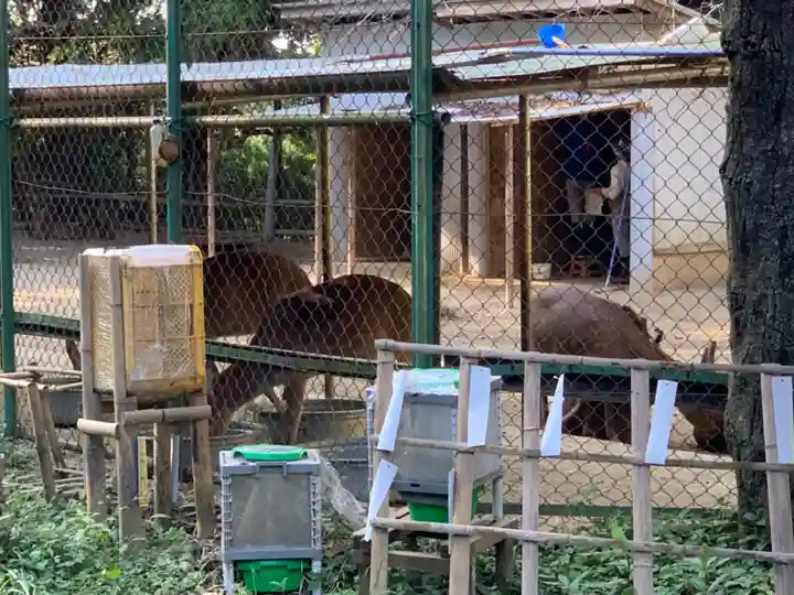 香取神宮(千葉県)