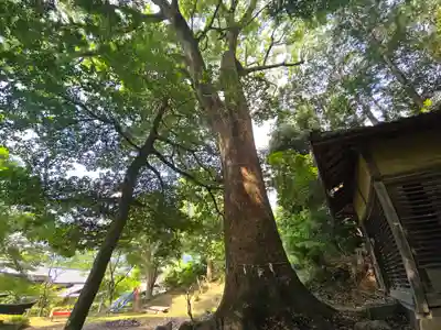 八幡宮社(長峰八幡宮)(京都府)