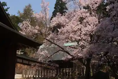 土津神社|こどもと出世の神さまの本殿・本堂