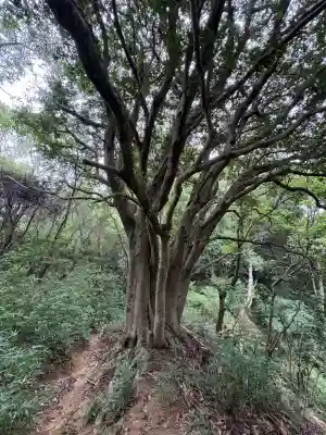 太山寺奥の院(経ヶ森）(愛媛県)