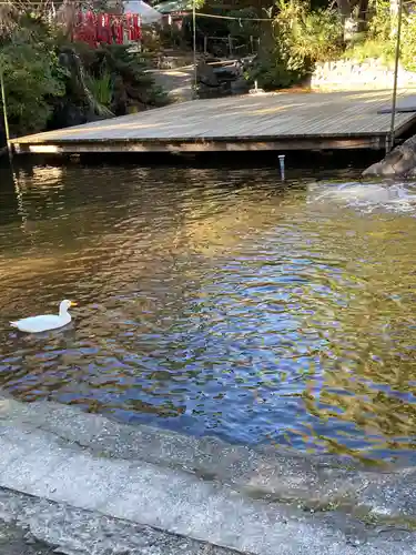 平塚八幡宮(神奈川県)