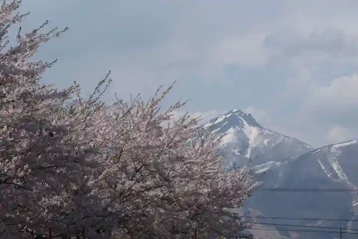 羽黒山神社(西の宮 羽黒山神社)の景色