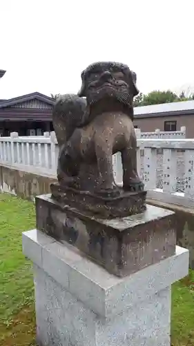 美瑛神社の狛犬