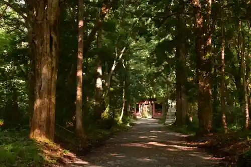 戸隠神社奥社(長野県)