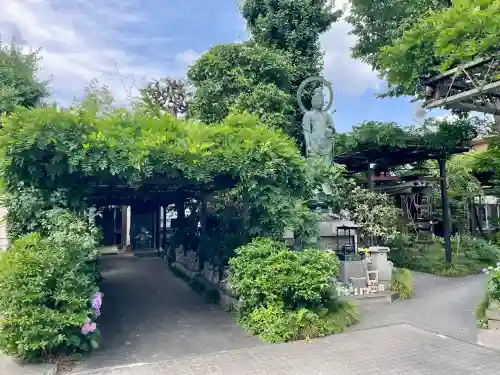 円光寺(東京都)