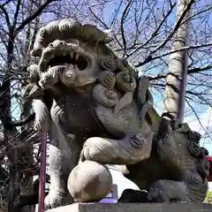 神炊館神社 ⁂奥州須賀川総鎮守⁂の狛犬