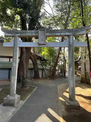 北澤八幡神社の鳥居