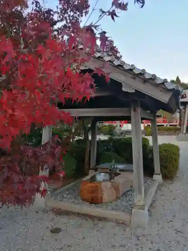 櫟野寺の手水舎