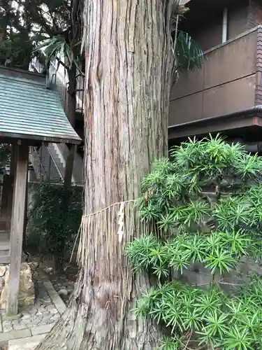 阿刀神社の自然