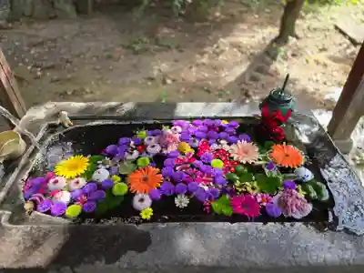 千代ケ岡八幡宮(栃木県)