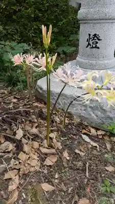玉田神社(京都府)