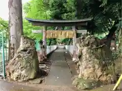 馬場氷川神社の鳥居